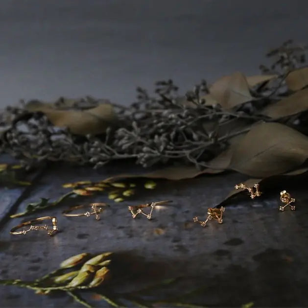 Gold earrings on a dark surface with dried flowers