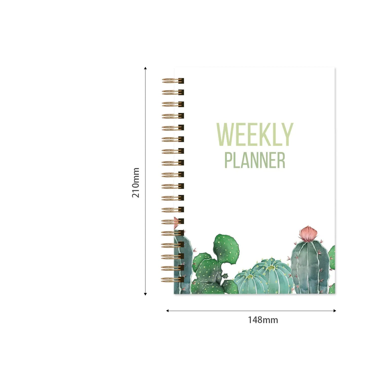 Weekly planner with cactus design and measurements on a white background