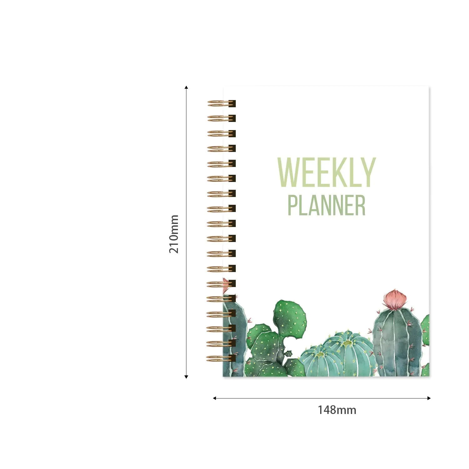 Weekly planner with cactus design and measurements on a white background